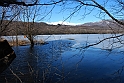 Lago Piccolo di Avigliana ghiacciato_095